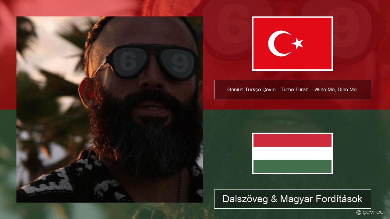 Genius Türkçe Çeviri – Turbo Turabi – Wine Me, Dine Me. (Türkçe Çeviri) Török Dalszöveg & Magyar Fordítások
