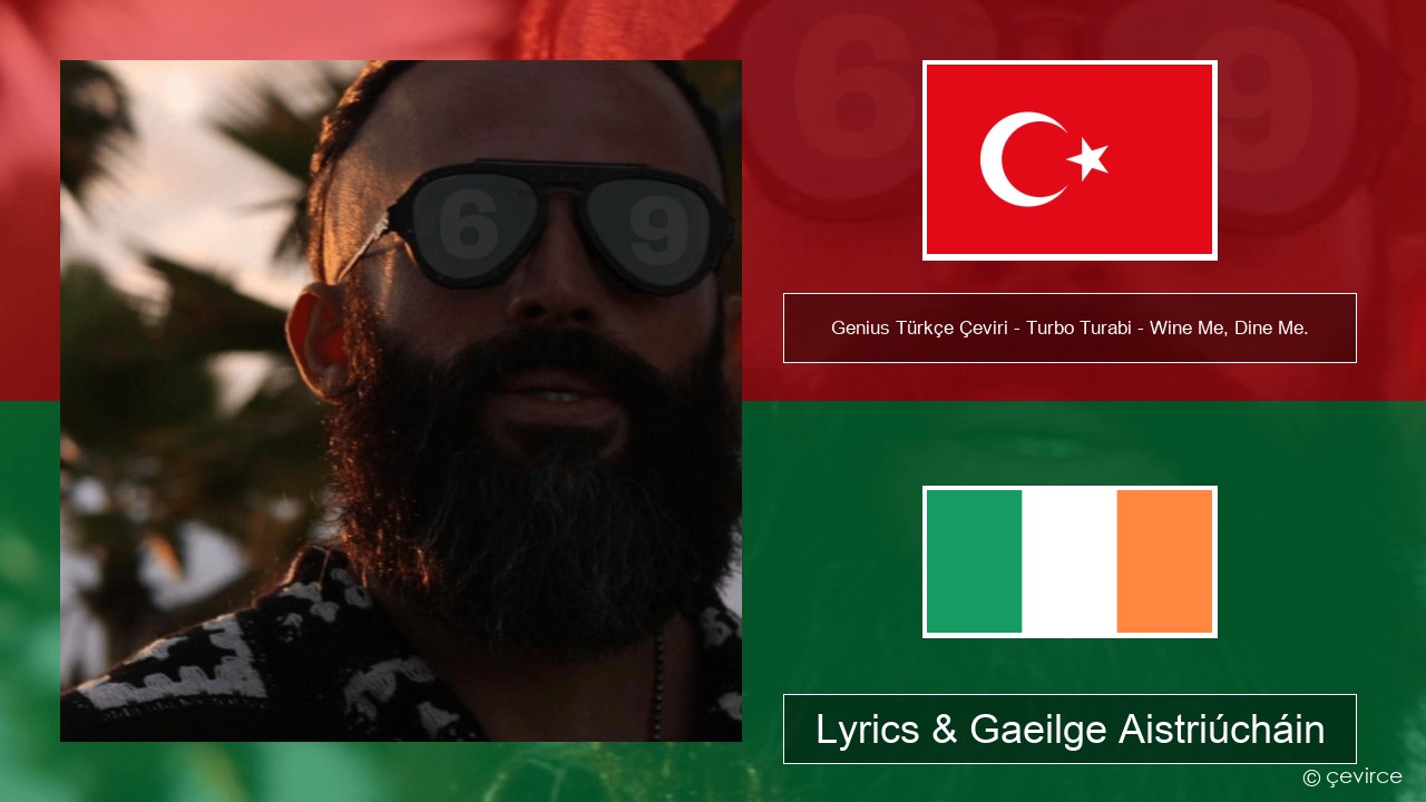 Genius Türkçe Çeviri – Turbo Turabi – Wine Me, Dine Me. (Türkçe Çeviri) Tuircis Lyrics & Gaeilge Aistriúcháin