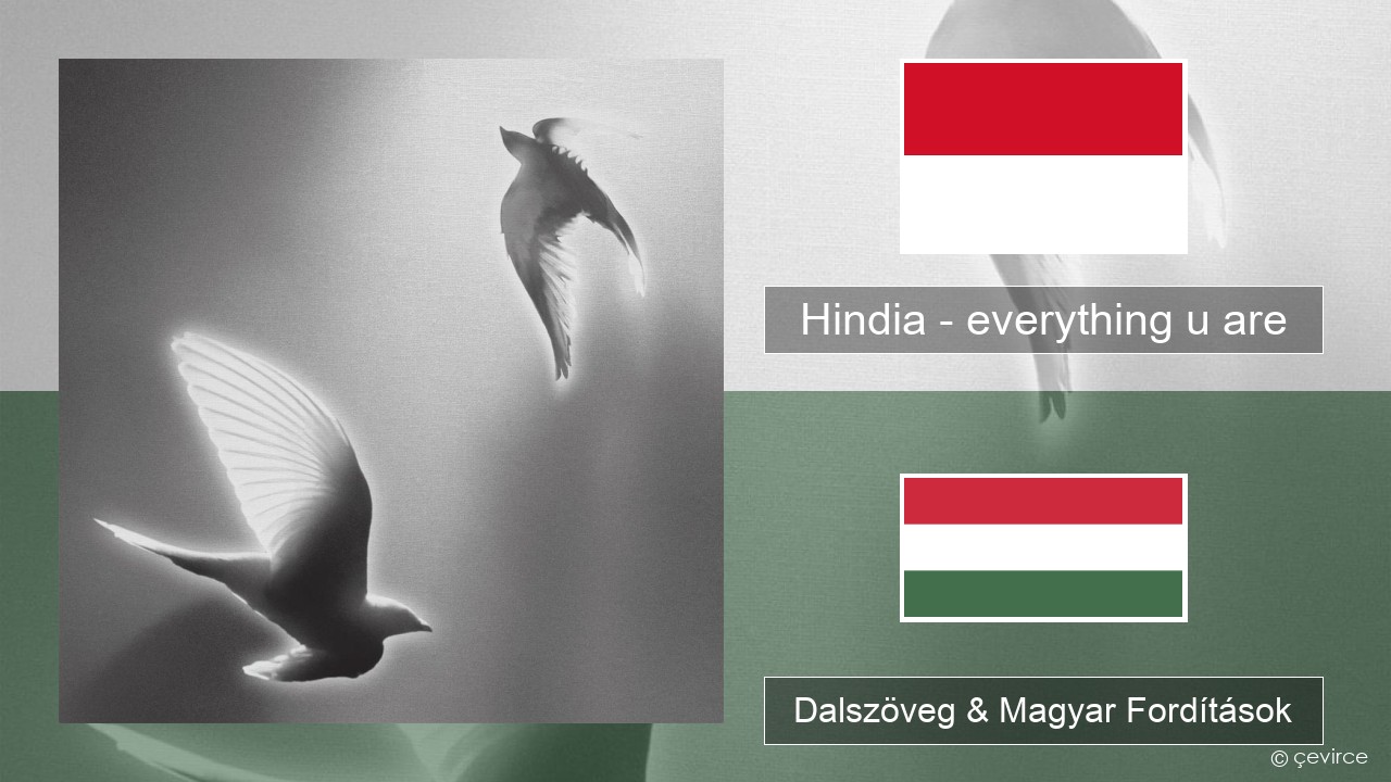 Hindia – everything u are Indonéz Dalszöveg & Magyar Fordítások