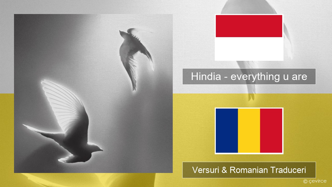 Hindia – everything u are Indoneziană Versuri & Romanian Traduceri