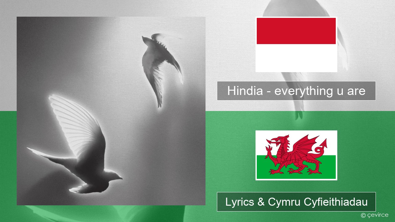 Hindia – everything u are Indonesia Lyrics & Cymru Cyfieithiadau