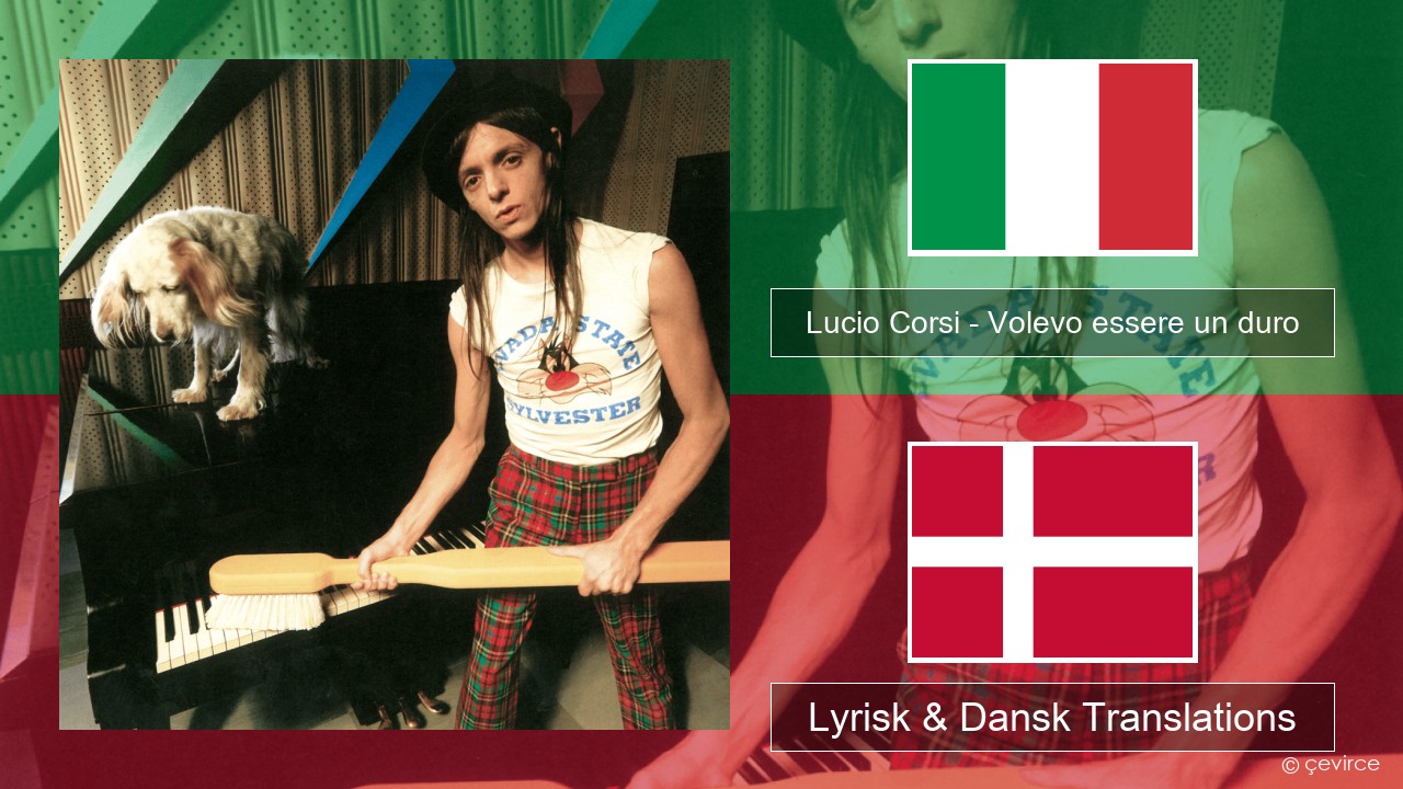 Lucio Corsi – Volevo essere un duro Italiensk Lyrisk & Dansk Translations