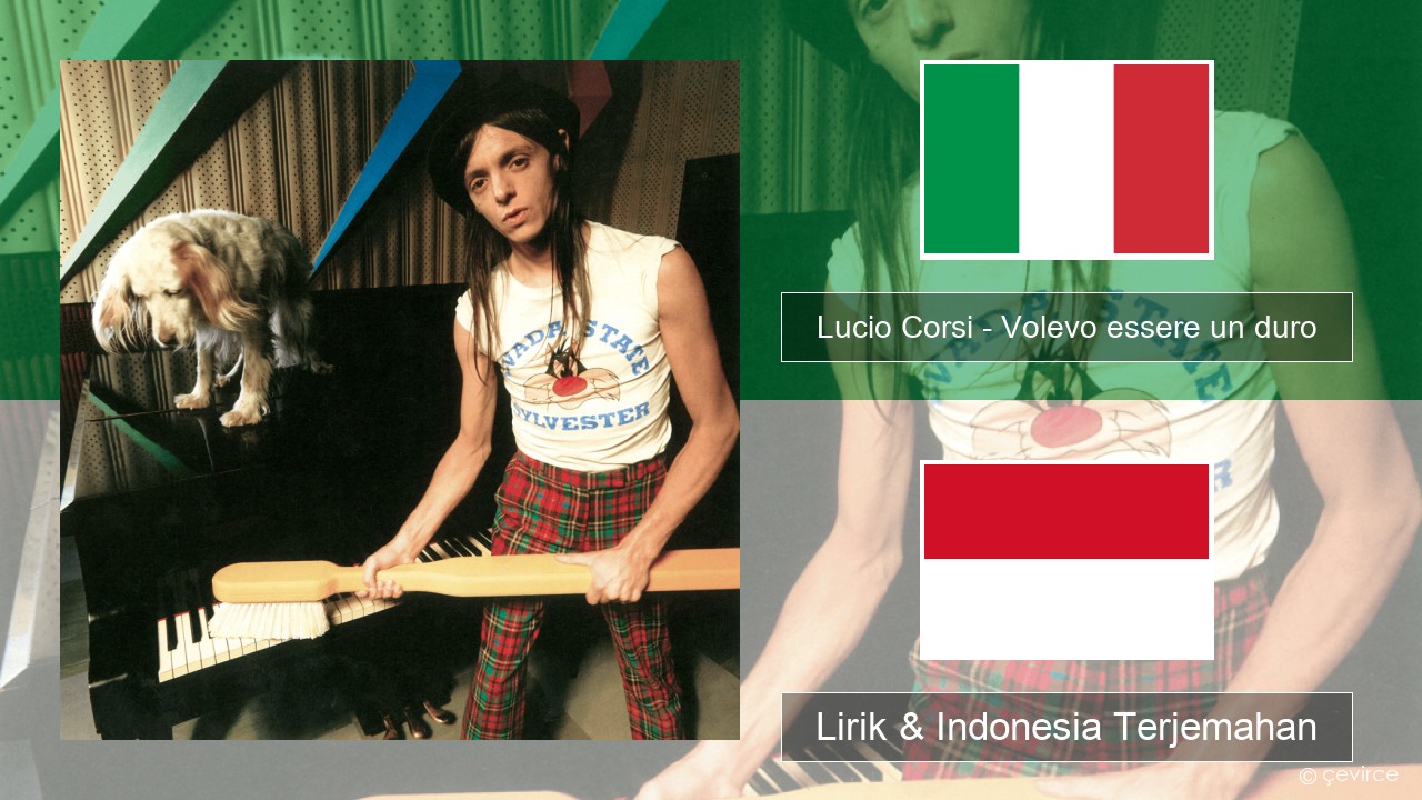 Lucio Corsi – Volevo essere un duro Italia Lirik & Indonesia Terjemahan