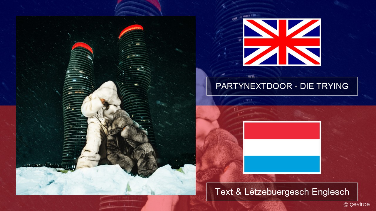 PARTYNEXTDOOR – DIE TRYING Englisch Text & Lëtzebuergesch Englesch