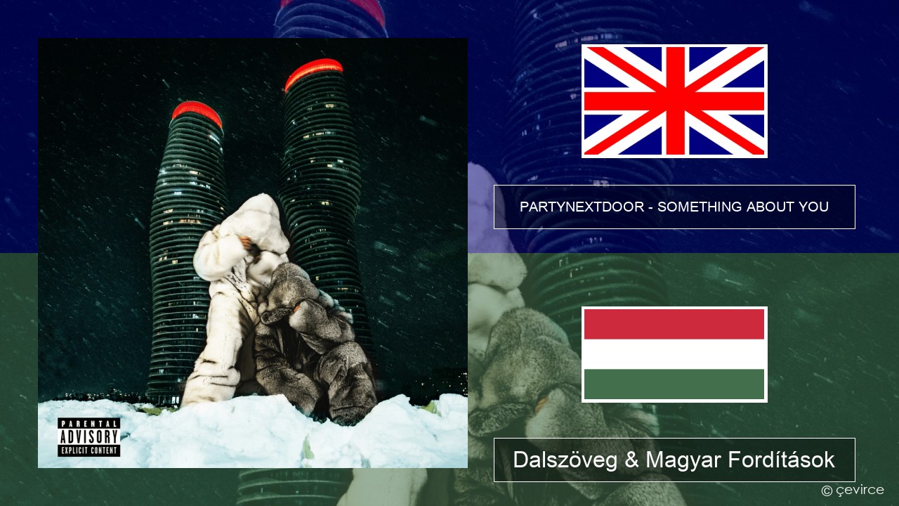 PARTYNEXTDOOR – SOMETHING ABOUT YOU Magyar Dalszöveg & Magyar Fordítások