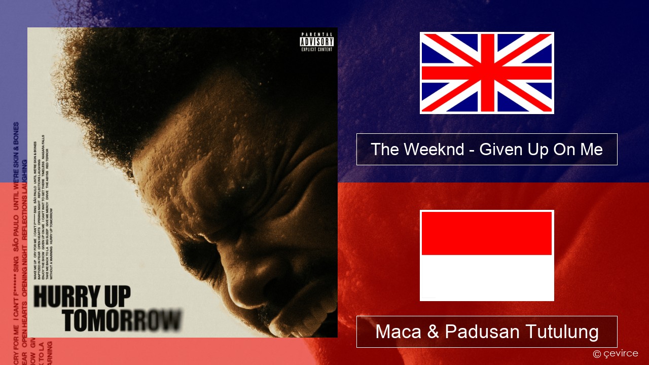 The Weeknd – Given Up On Me Sing Maca & Padusan Tutulung