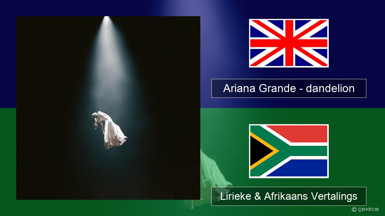 Ariana Grande – dandelion Engels Lirieke & Afrikaans Vertalings