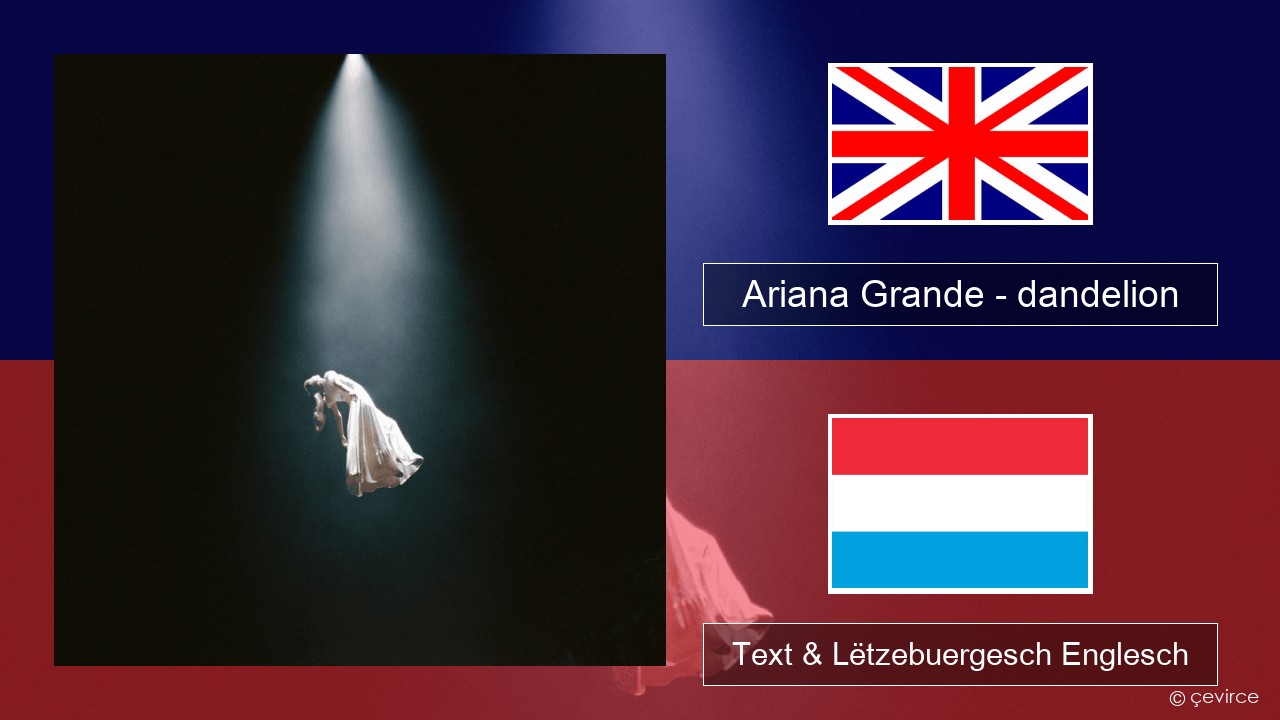 Ariana Grande – dandelion Englisch Text & Lëtzebuergesch Englesch