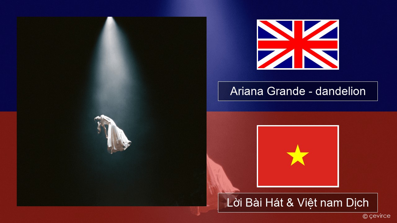 Ariana Grande – dandelion Tiếng anh Lời Bài Hát & Việt nam Dịch