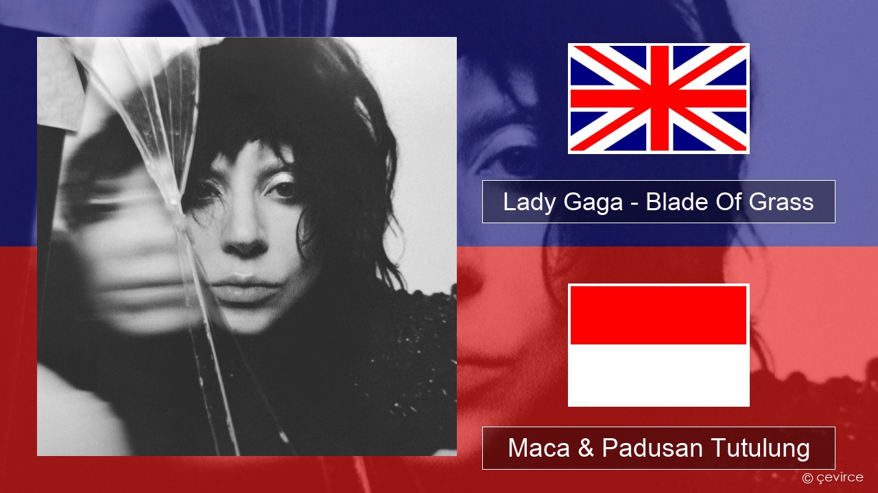 Lady Gaga – Blade Of Grass Sing Maca & Padusan Tutulung
