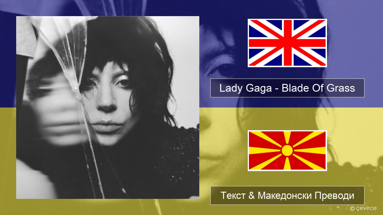 Lady Gaga – Blade Of Grass Англиски Текст & Македонски Преводи