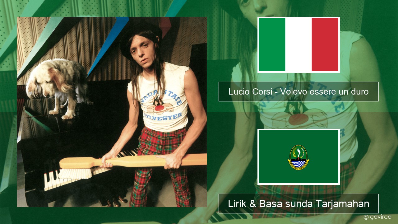 Lucio Corsi – Volevo essere un duro Italia Lirik & Basa sunda Tarjamahan