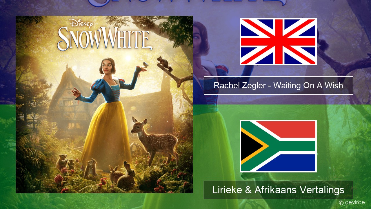 Rachel Zegler – Waiting On A Wish Engels Lirieke & Afrikaans Vertalings