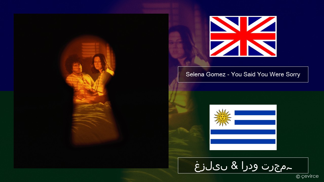 Selena Gomez – You Said You Were Sorry انگریزی غزلیں & اردو ترجمہ