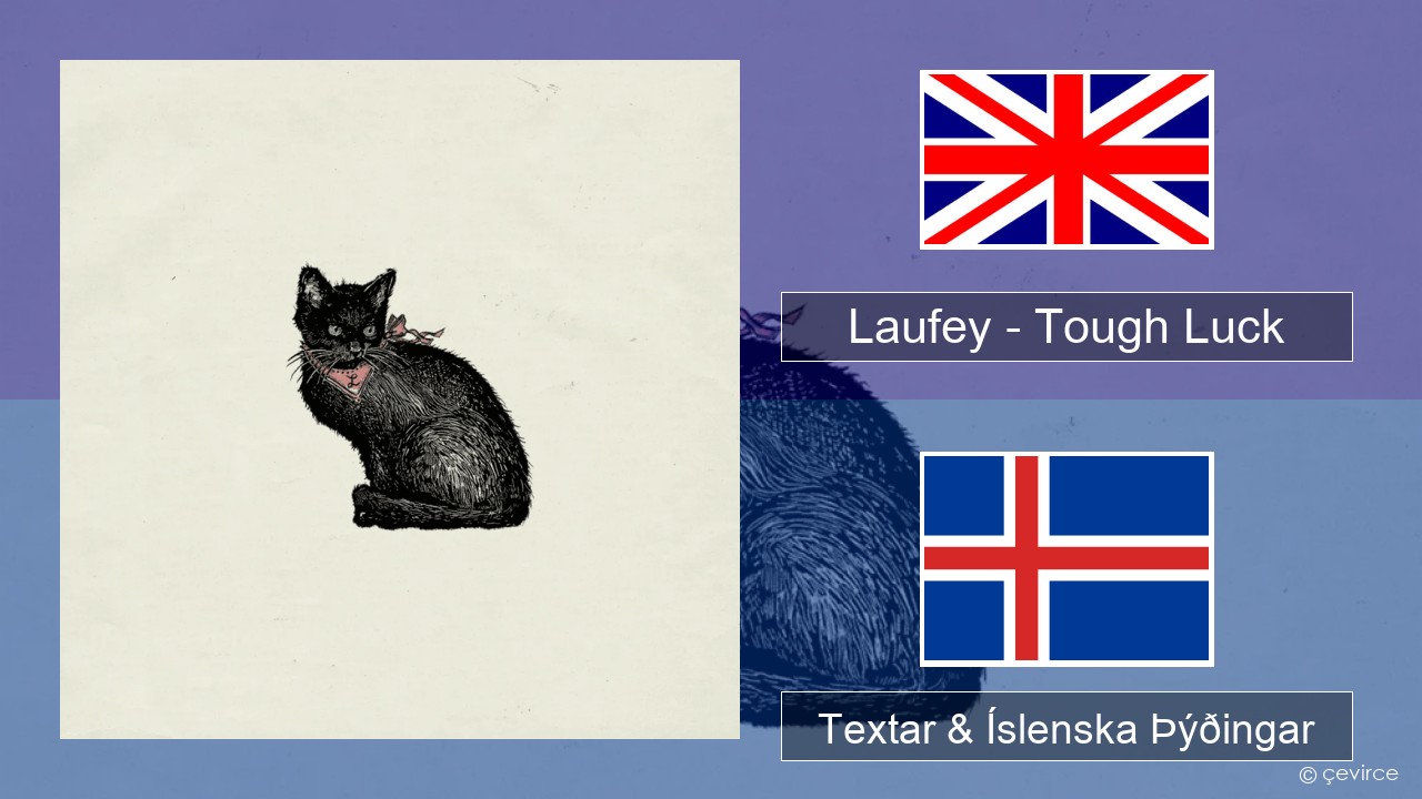 Laufey – Tough Luck Íslenska Textar & Íslenska Þýðingar