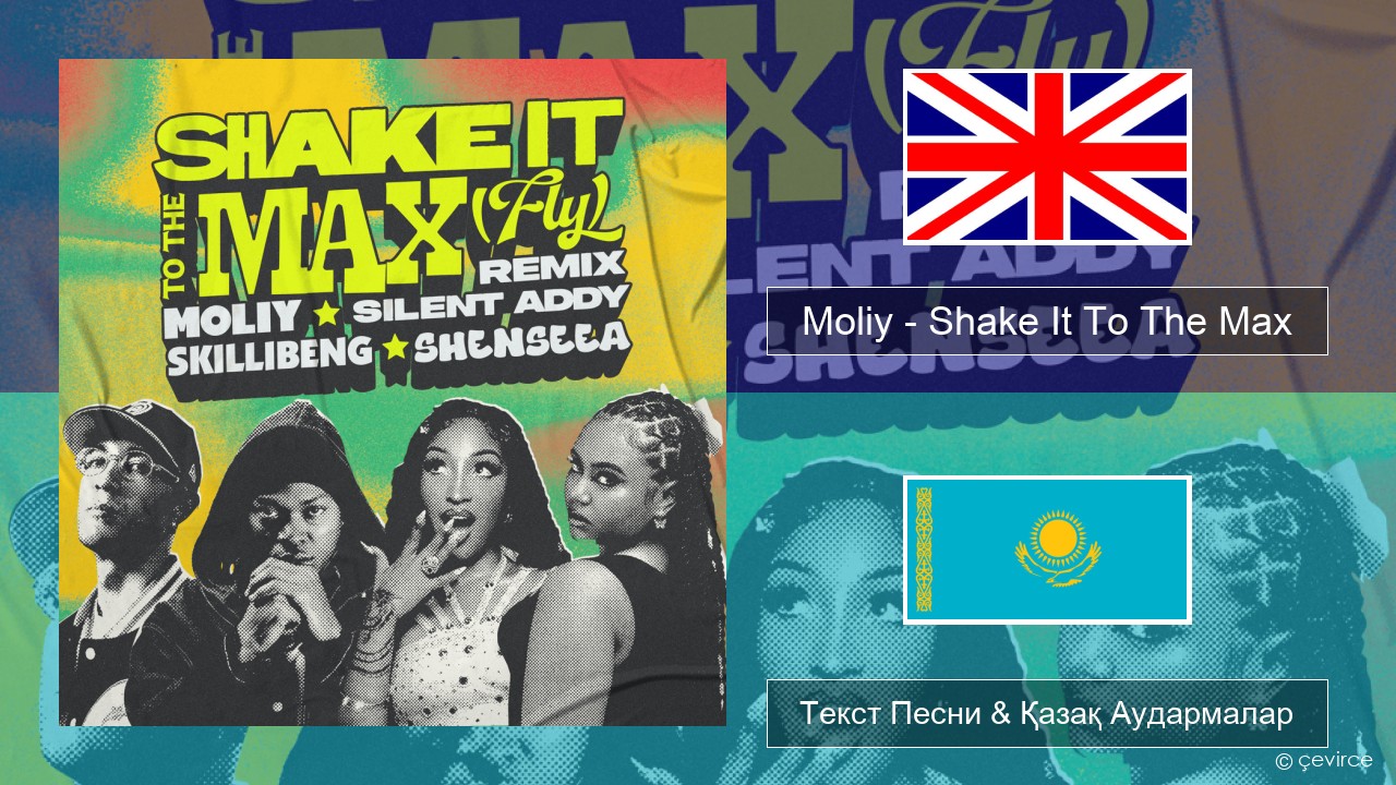 Moliy – Shake It To The Max (Skillibeng & Shenseea Remix) Ағылшын Текст Песни & Қазақ Аудармалар