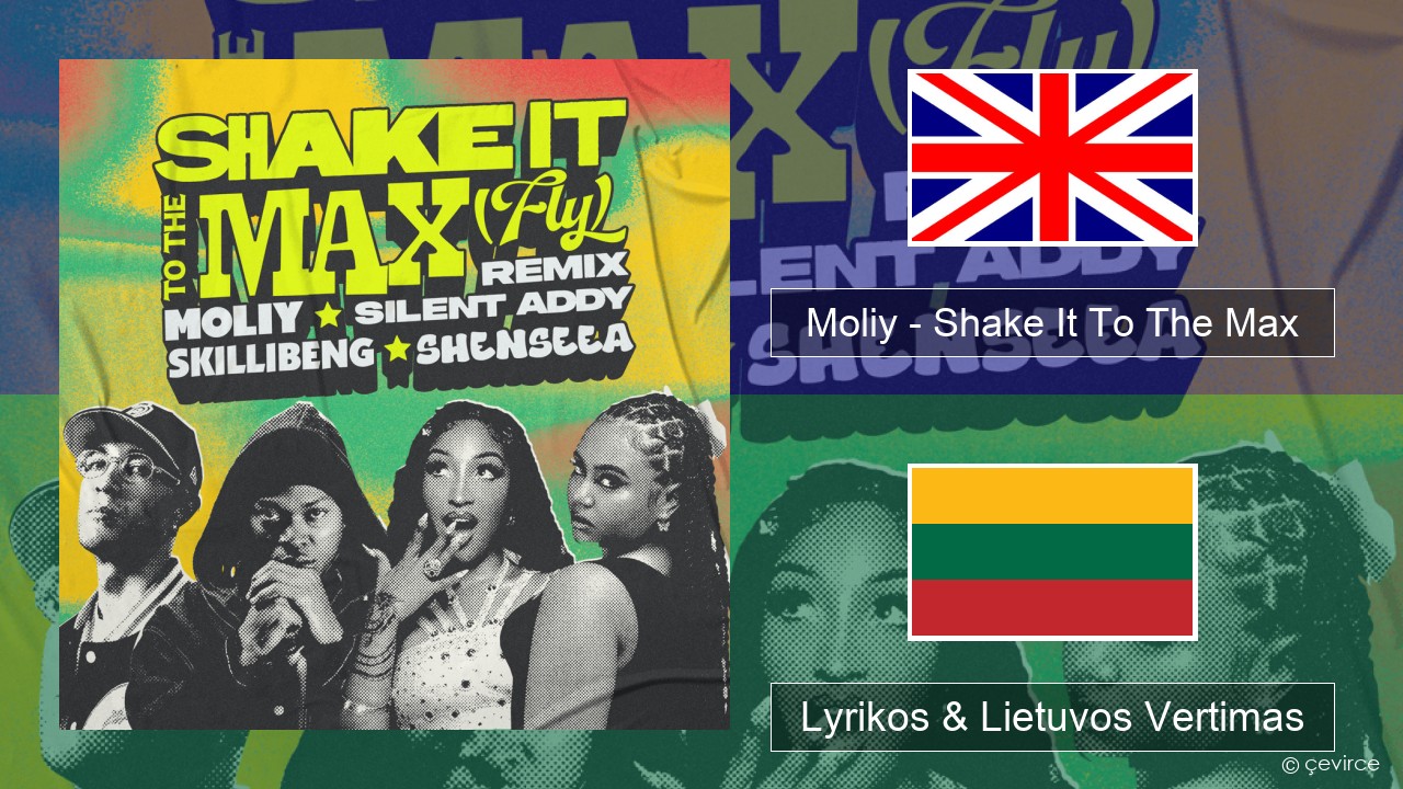 Moliy – Shake It To The Max (Skillibeng & Shenseea Remix) Anglų Lyrikos & Lietuvos Vertimas