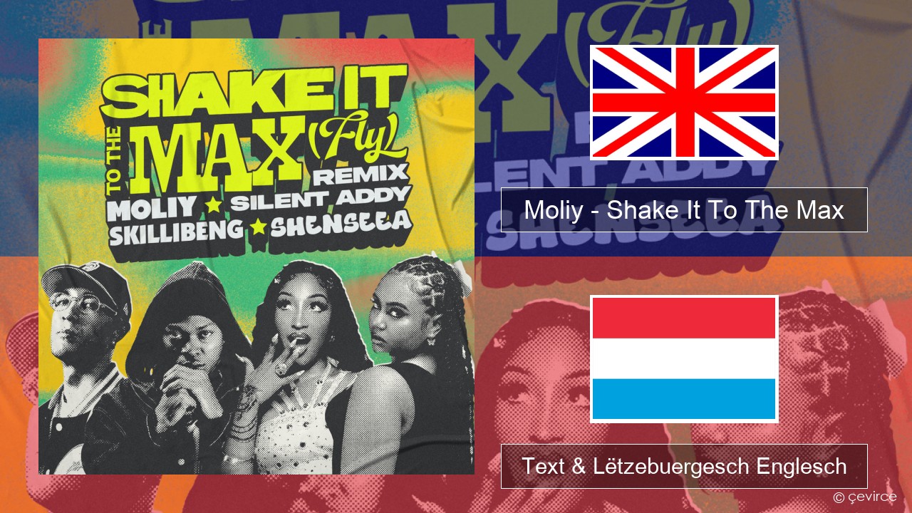 Moliy – Shake It To The Max (Skillibeng & Shenseea Remix) Englisch Text & Lëtzebuergesch Englesch