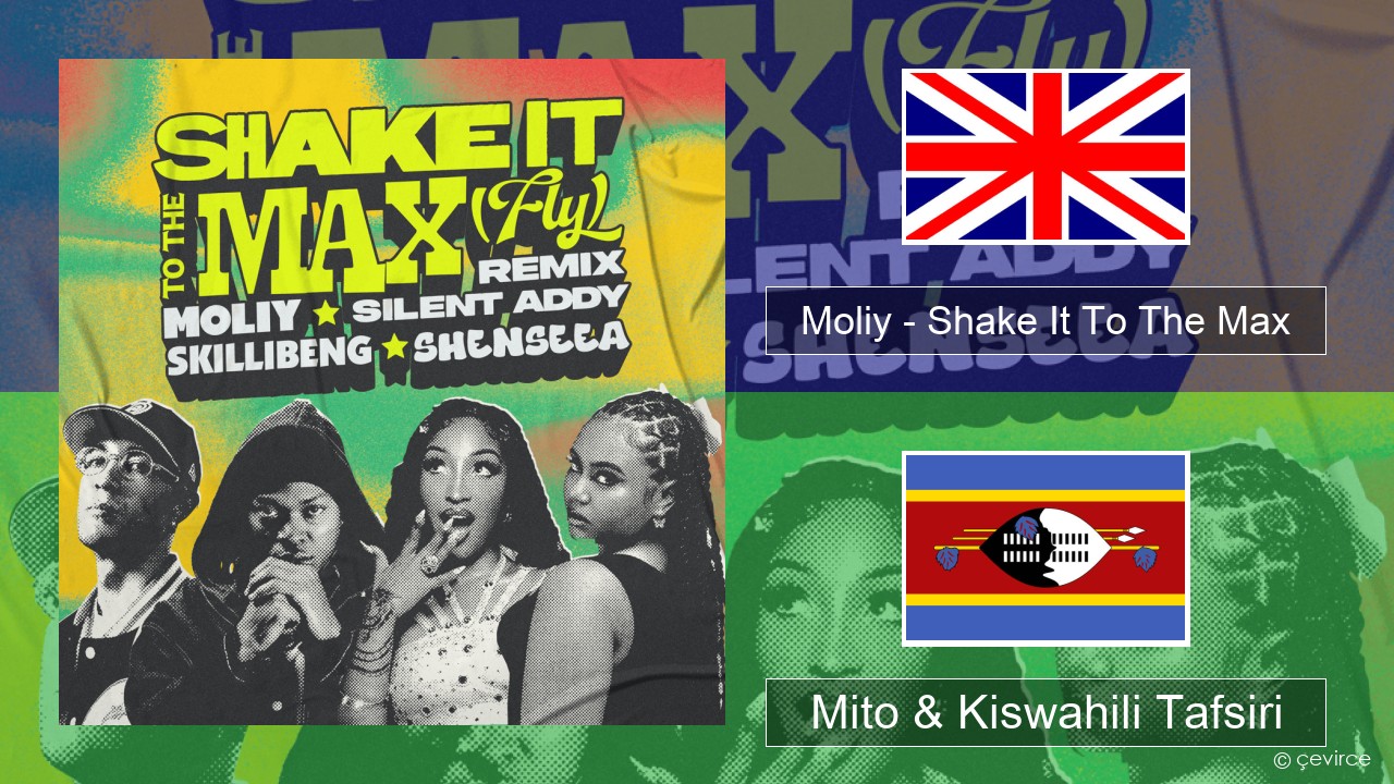 Moliy – Shake It To The Max (Skillibeng & Shenseea Remix) Englishen Mito & Kiswahili Tafsiri