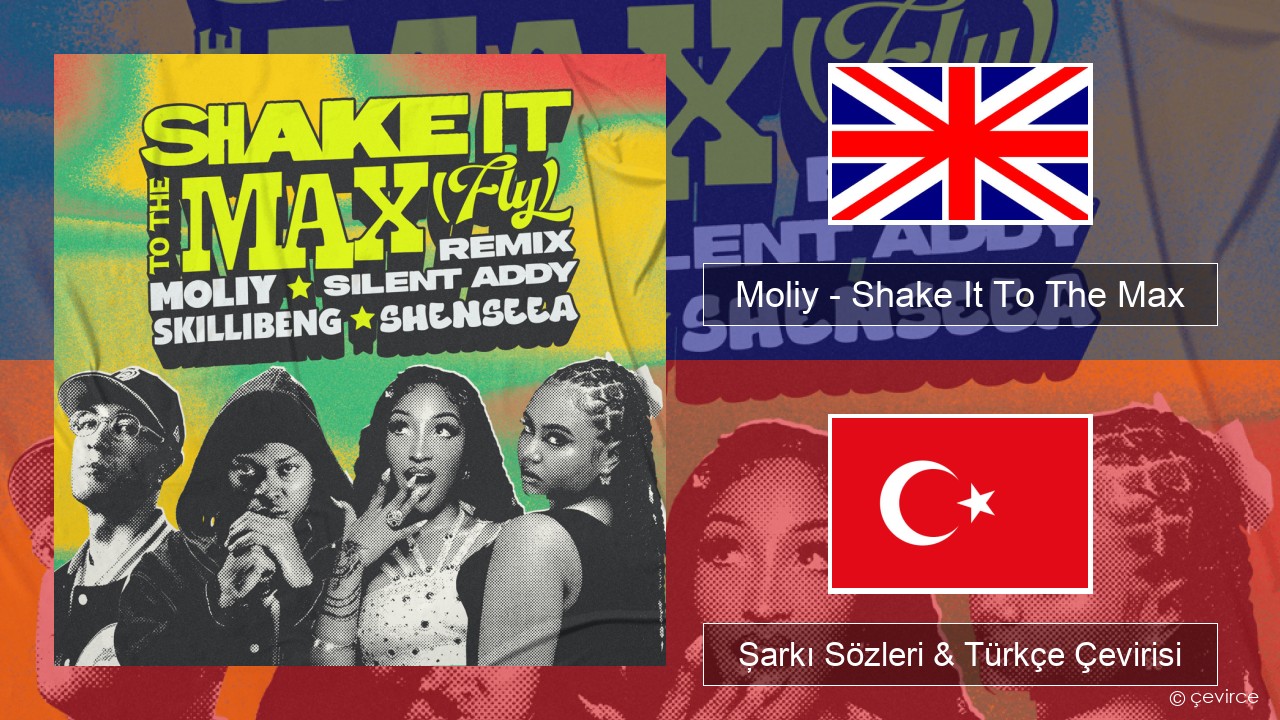 Moliy – Shake It To The Max (Skillibeng & Shenseea Remix) İngilizce Şarkı Sözleri & Türkçe Çevirisi