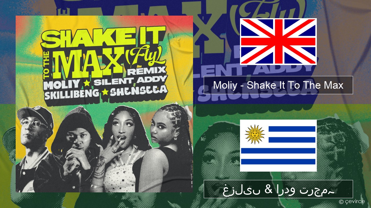 Moliy – Shake It To The Max (Skillibeng & Shenseea Remix) انگریزی غزلیں & اردو ترجمہ