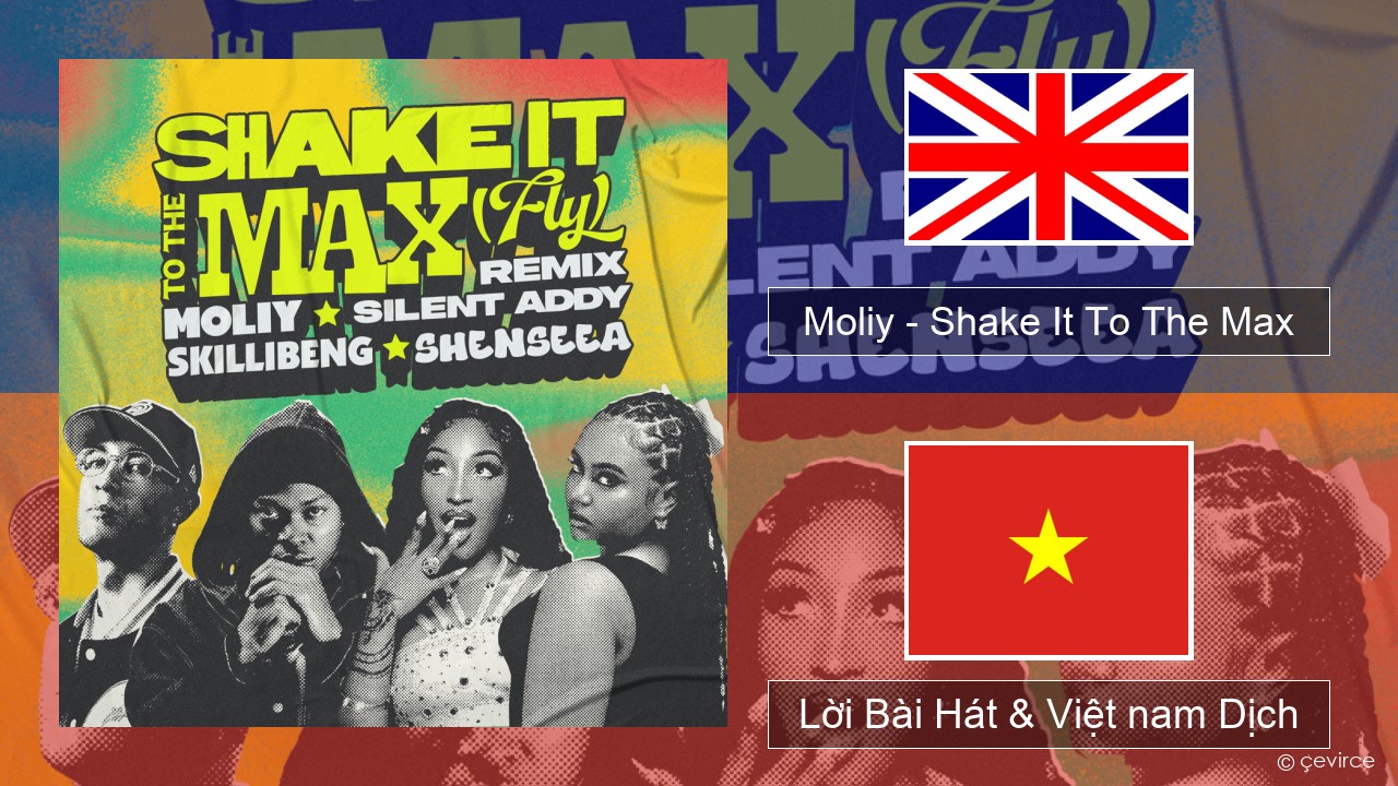 Moliy – Shake It To The Max (Skillibeng & Shenseea Remix) Tiếng anh Lời Bài Hát & Việt nam Dịch