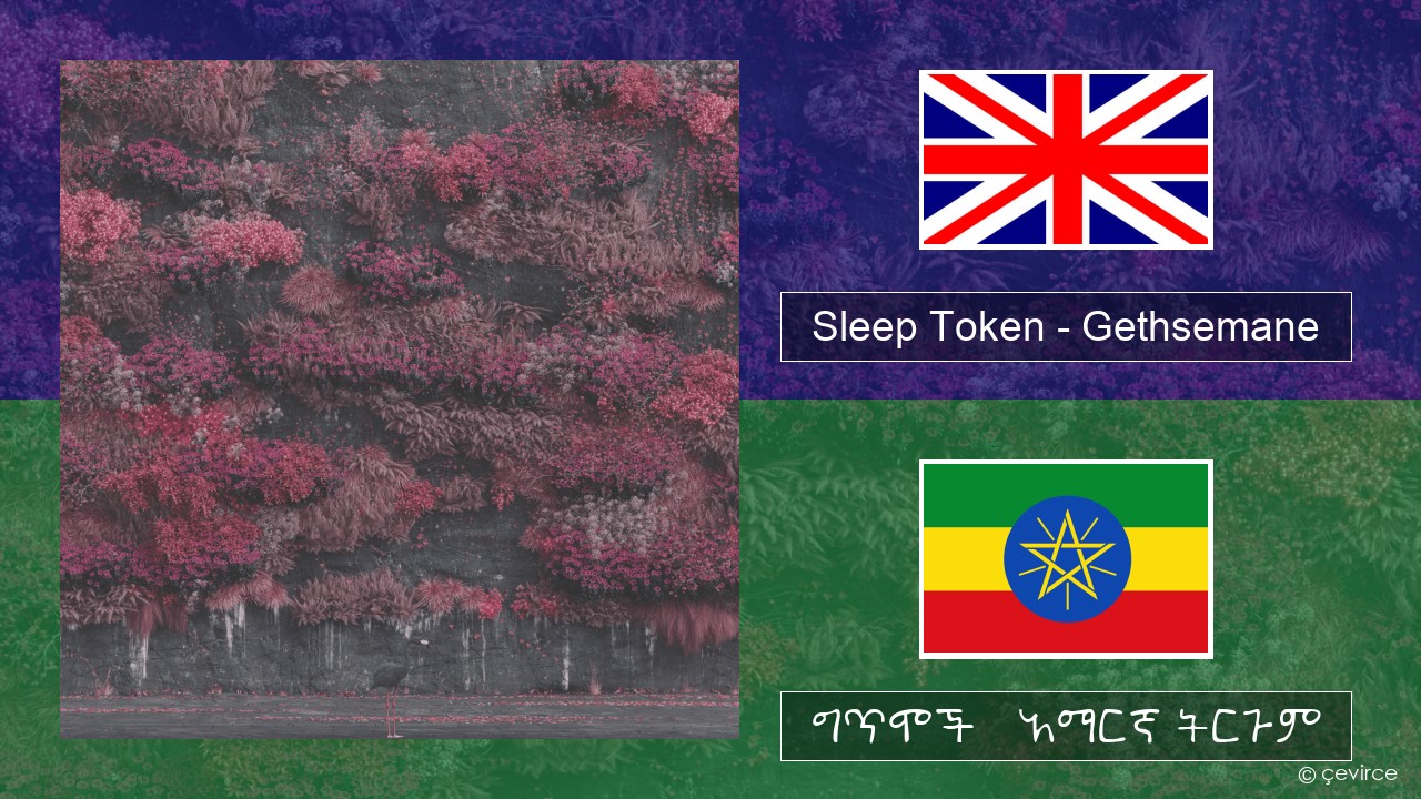 Sleep Token – Gethsemane አማርኛ ግጥሞች & አማርኛ ትርጉም