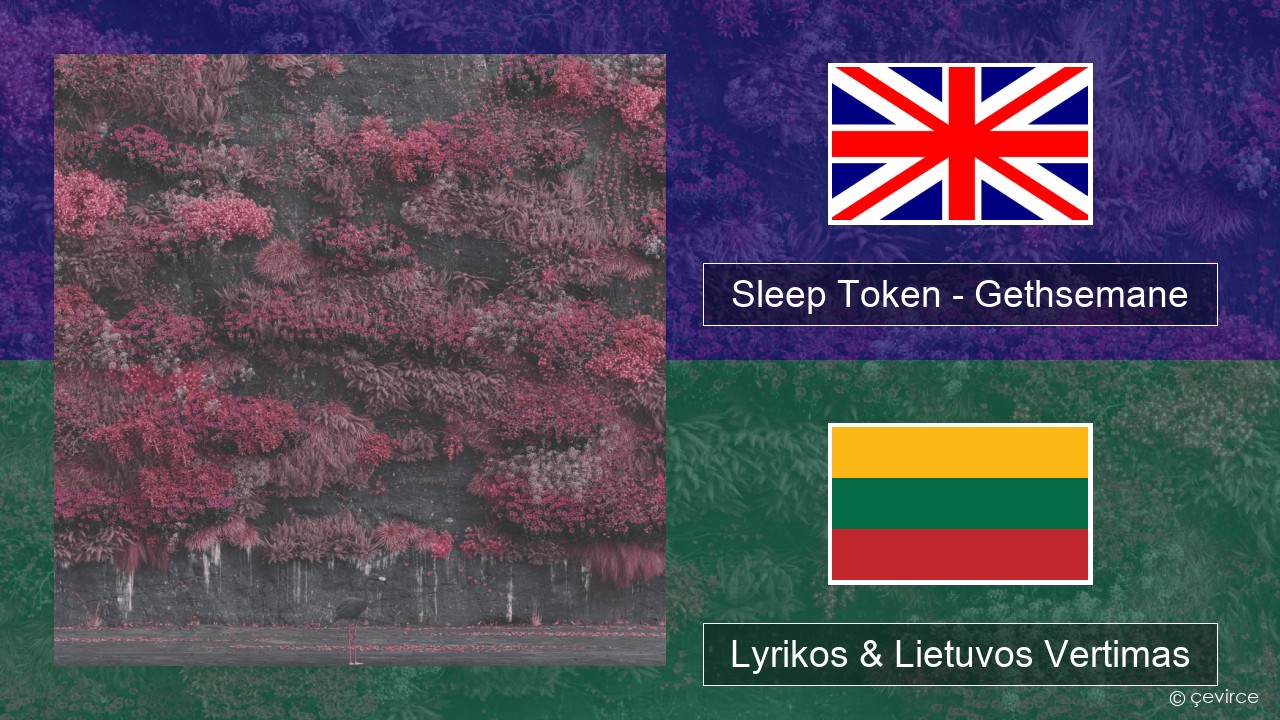 Sleep Token – Gethsemane Anglų Lyrikos & Lietuvos Vertimas