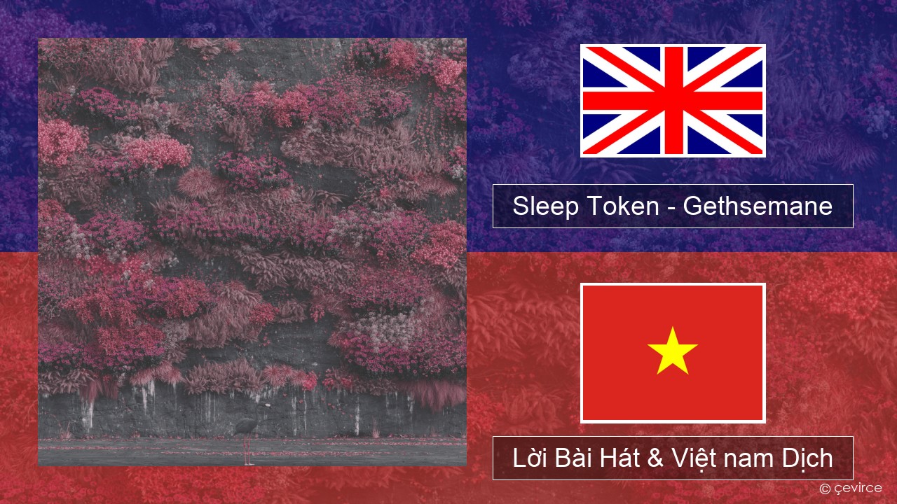 Sleep Token – Gethsemane Tiếng anh Lời Bài Hát & Việt nam Dịch