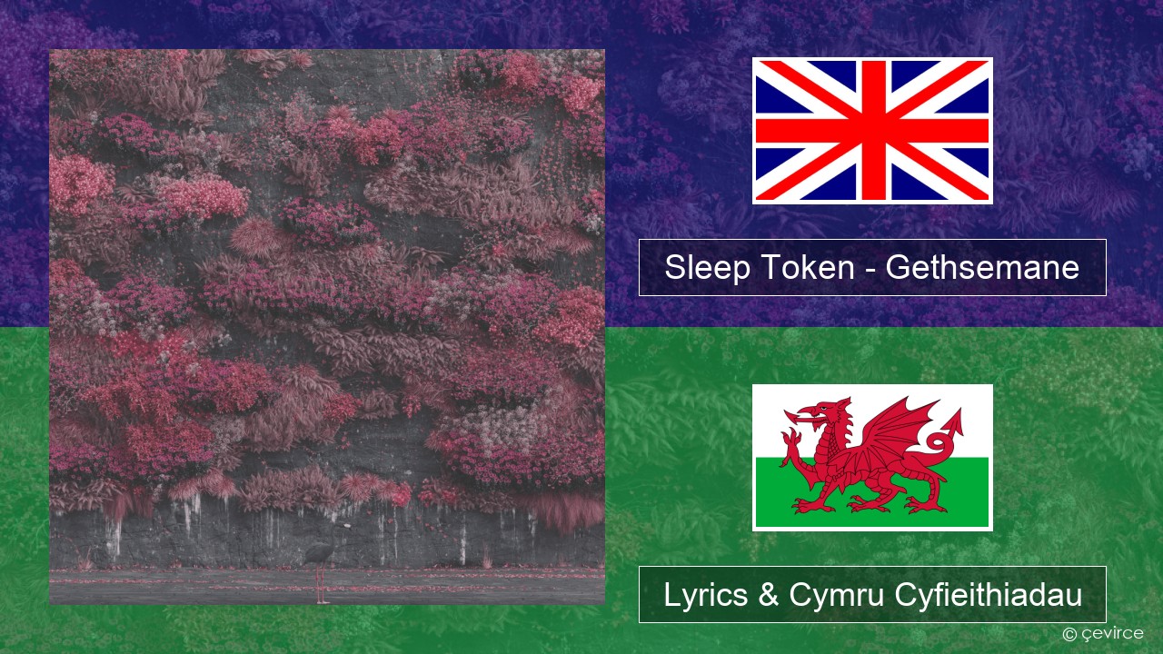 Sleep Token – Gethsemane Saesneg Lyrics & Cymru Cyfieithiadau