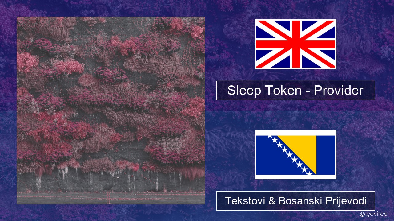 Sleep Token – Provider Engleski Tekstovi & Bosanski Prijevodi