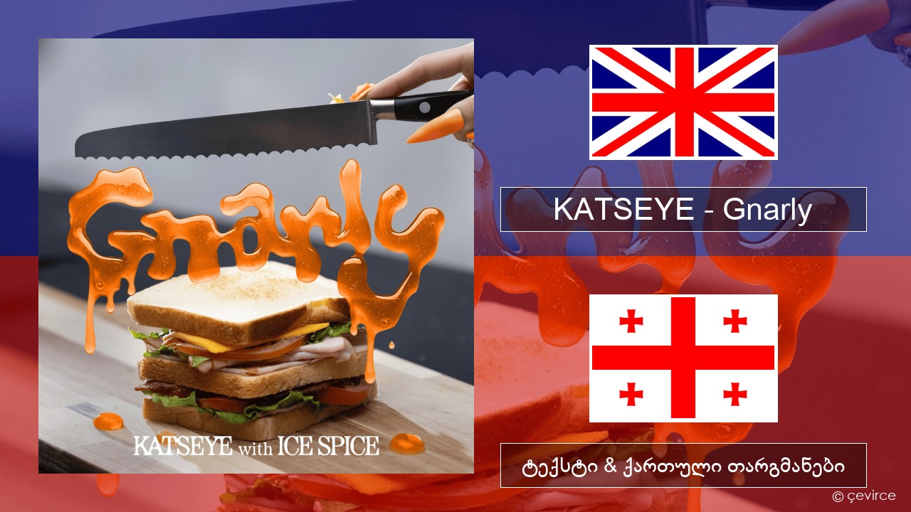 KATSEYE – Gnarly (Ice Spice Remix) ქართული ტექსტი & ქართული თარგმანები