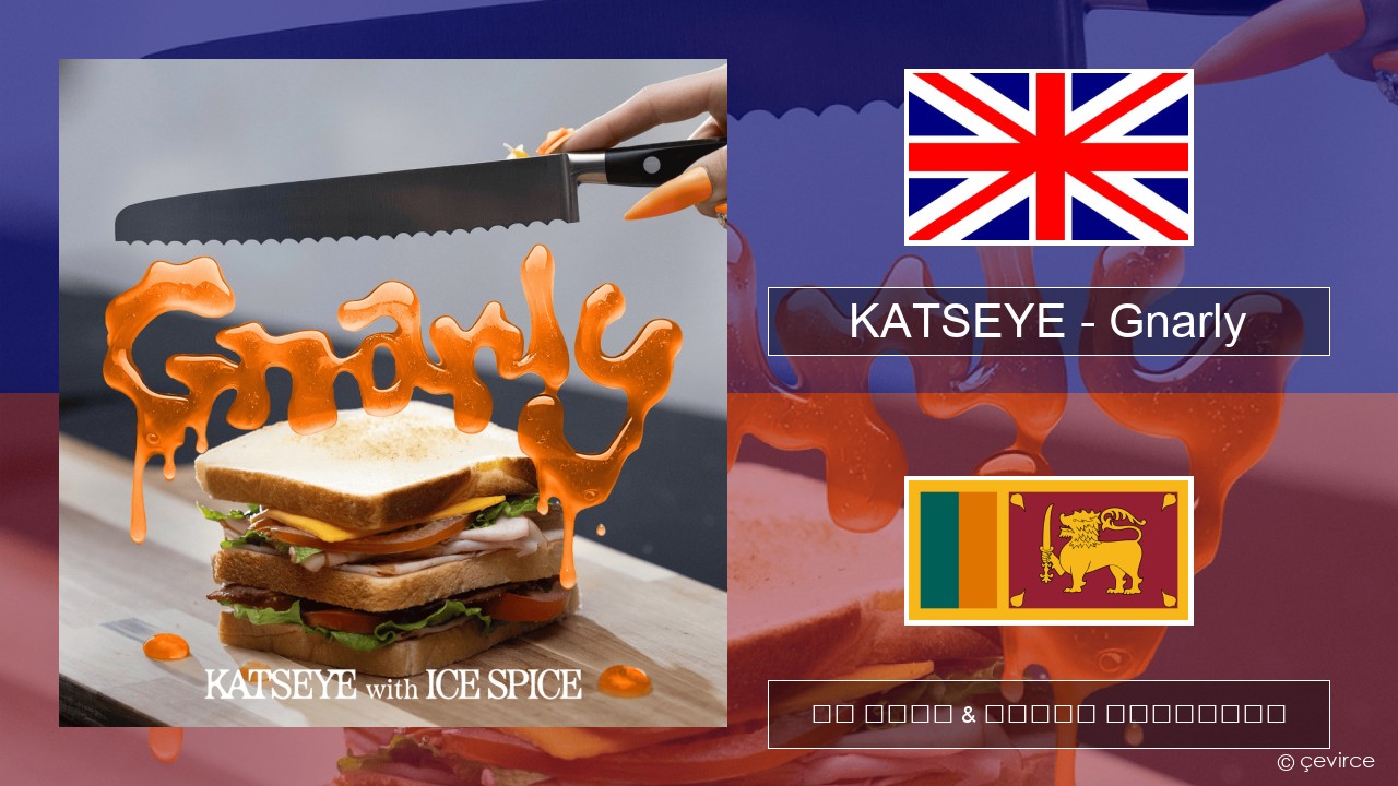 KATSEYE – Gnarly (Ice Spice Remix) ඉංග්රීසි පද රචනය & සිංහල පරිවර්තන