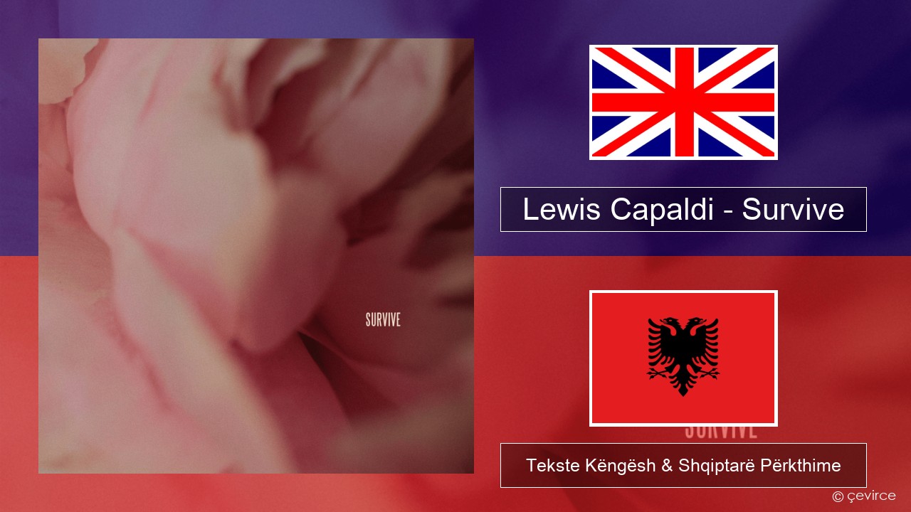 Lewis Capaldi – Survive Anglisht Tekste Këngësh & Shqiptarë Përkthime