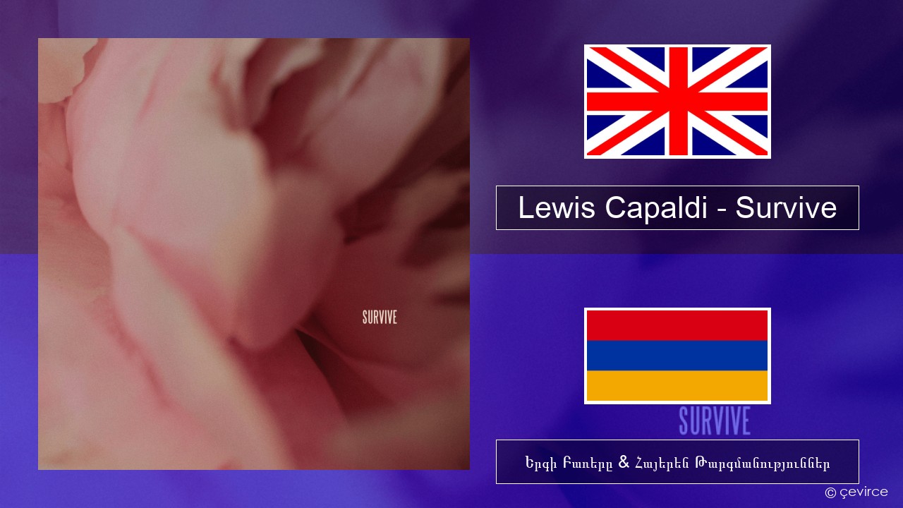Lewis Capaldi – Survive Անգլերեն Երգի Բառերը & Հայերեն Թարգմանություններ