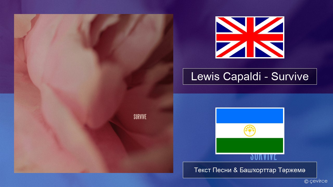 Lewis Capaldi – Survive Инглиз Текст Песни & Башҡорттар Тәржемә