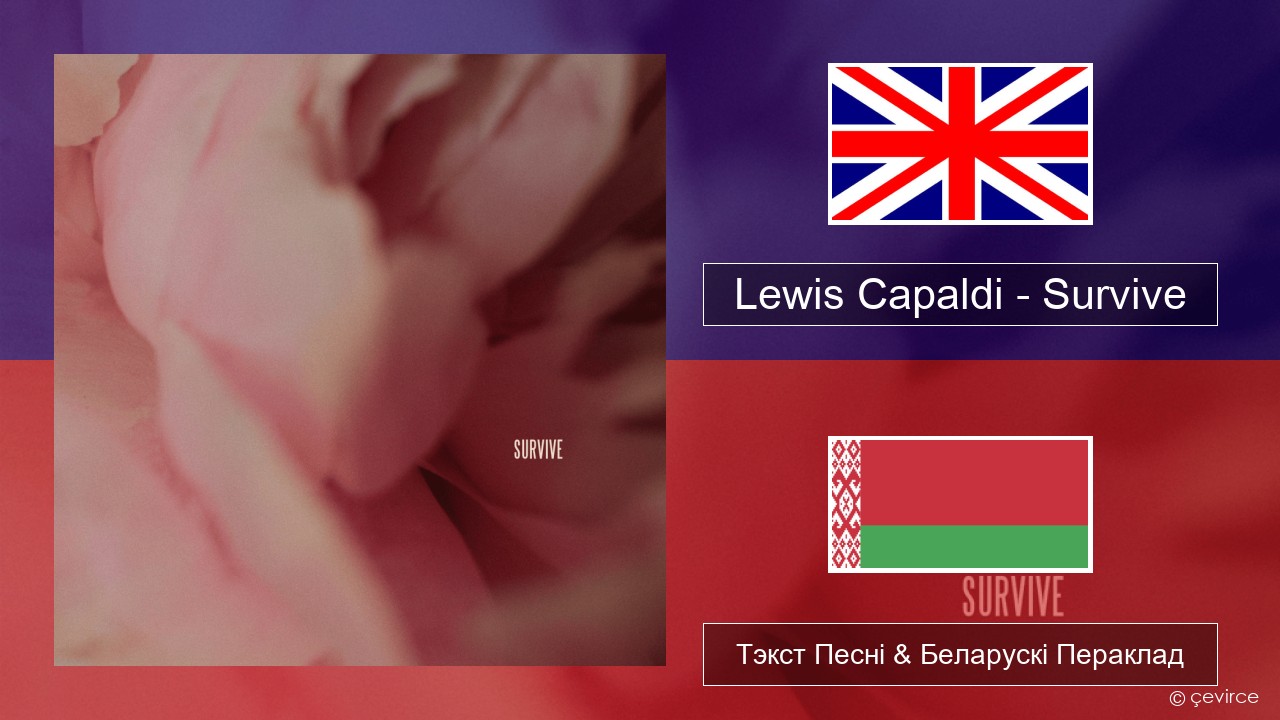 Lewis Capaldi – Survive Англійскі Тэкст Песні & Беларускі Пераклад