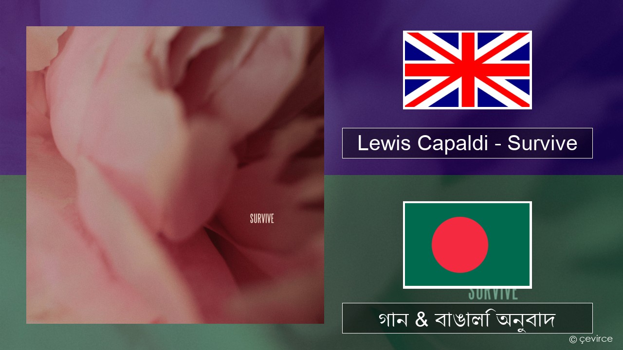 Lewis Capaldi – Survive ইংরেজি গান & বাঙালি অনুবাদ