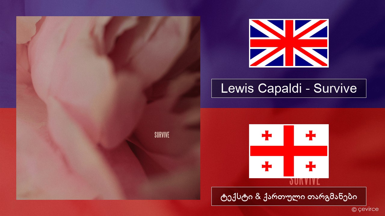 Lewis Capaldi – Survive ქართული ტექსტი & ქართული თარგმანები
