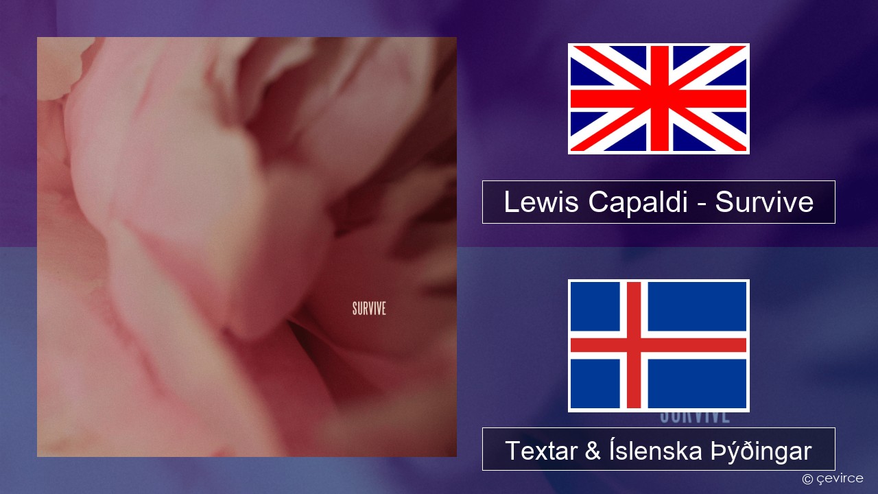 Lewis Capaldi – Survive Íslenska Textar & Íslenska Þýðingar