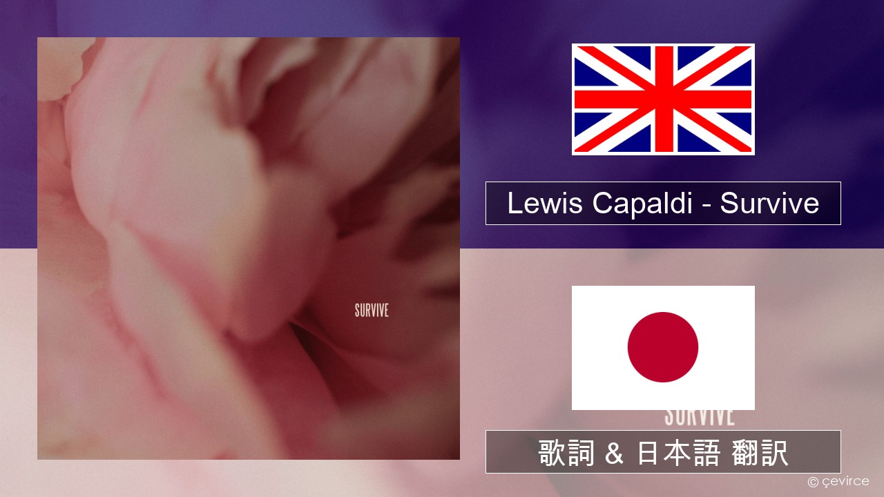 Lewis Capaldi – Survive 英語 歌詞 & 日本語 翻訳