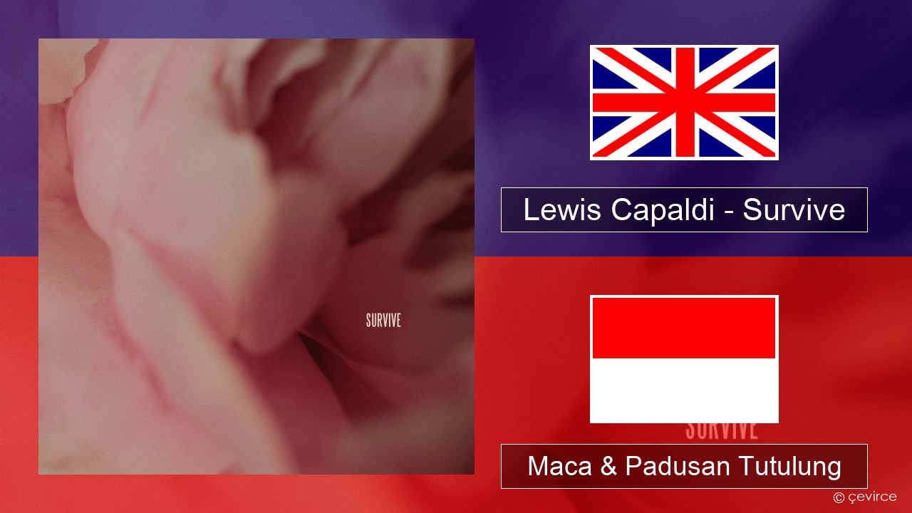 Lewis Capaldi – Survive Sing Maca & Padusan Tutulung