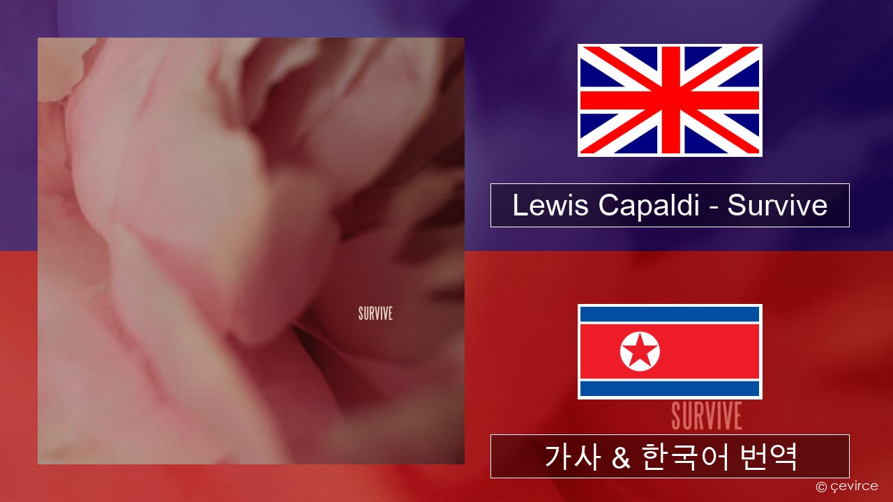 Lewis Capaldi – Survive 영어 가사 & 한국어 번역
