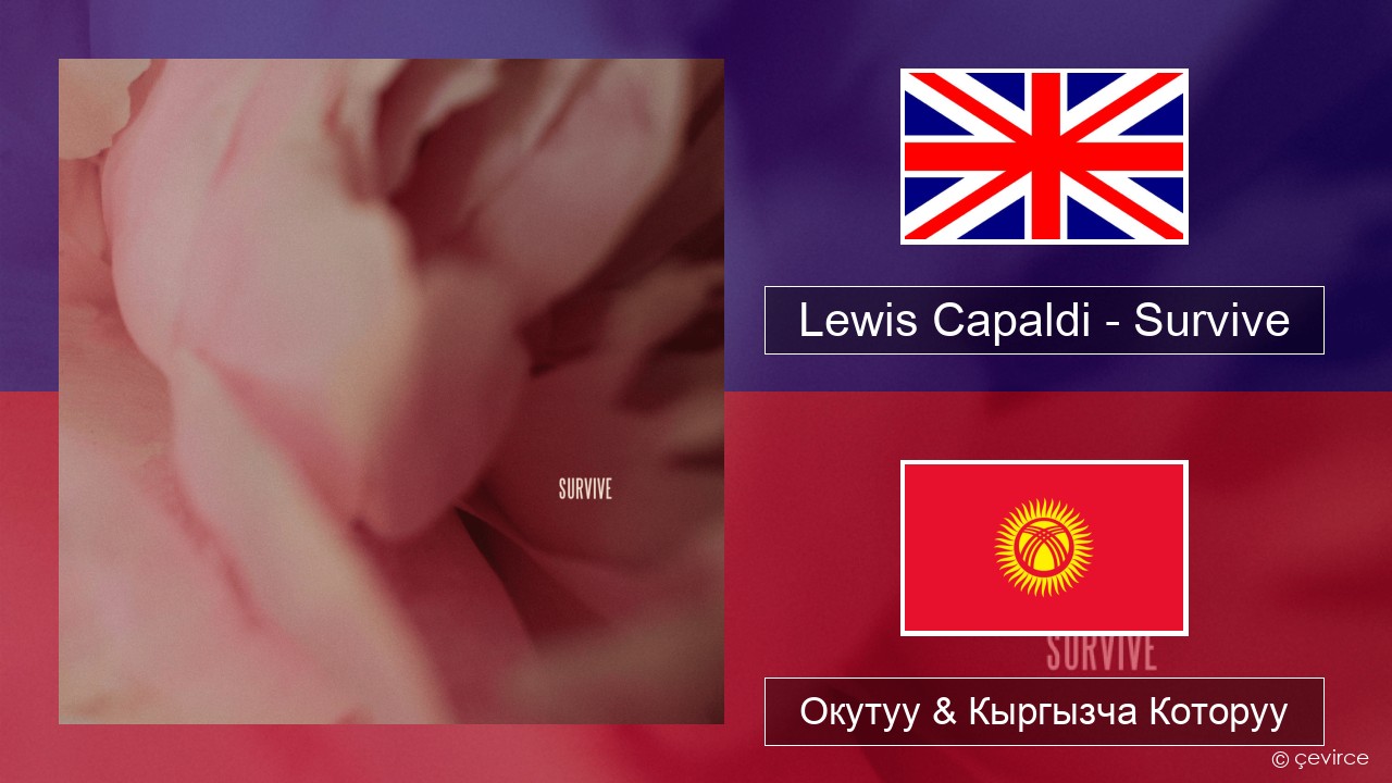 Lewis Capaldi – Survive Англисче Окутуу & Кыргызча Которуу