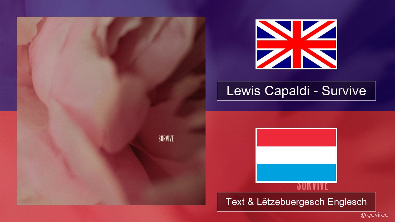 Lewis Capaldi – Survive Englisch Text & Lëtzebuergesch Englesch