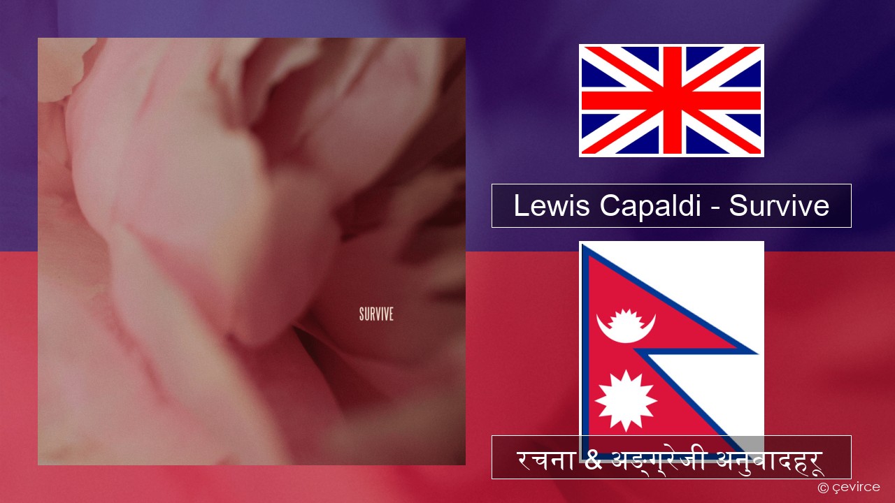 Lewis Capaldi – Survive अंग्रेजि रचना & अङ्ग्रेजी अनुवादहरू