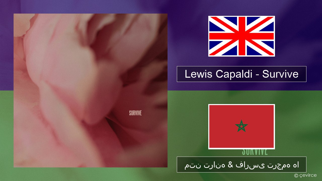 Lewis Capaldi – Survive فارسی متن ترانه & فارسی ترجمه ها