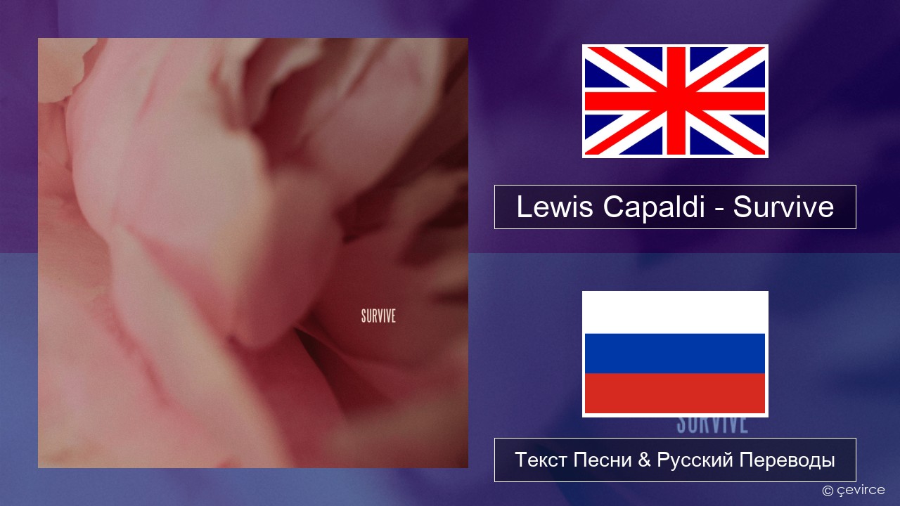 Lewis Capaldi – Survive Английский Текст Песни & Русский Переводы