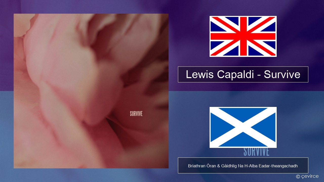 Lewis Capaldi – Survive Gaelic Briathran Òran & Gàidhlig Na H-Alba Eadar-theangachadh