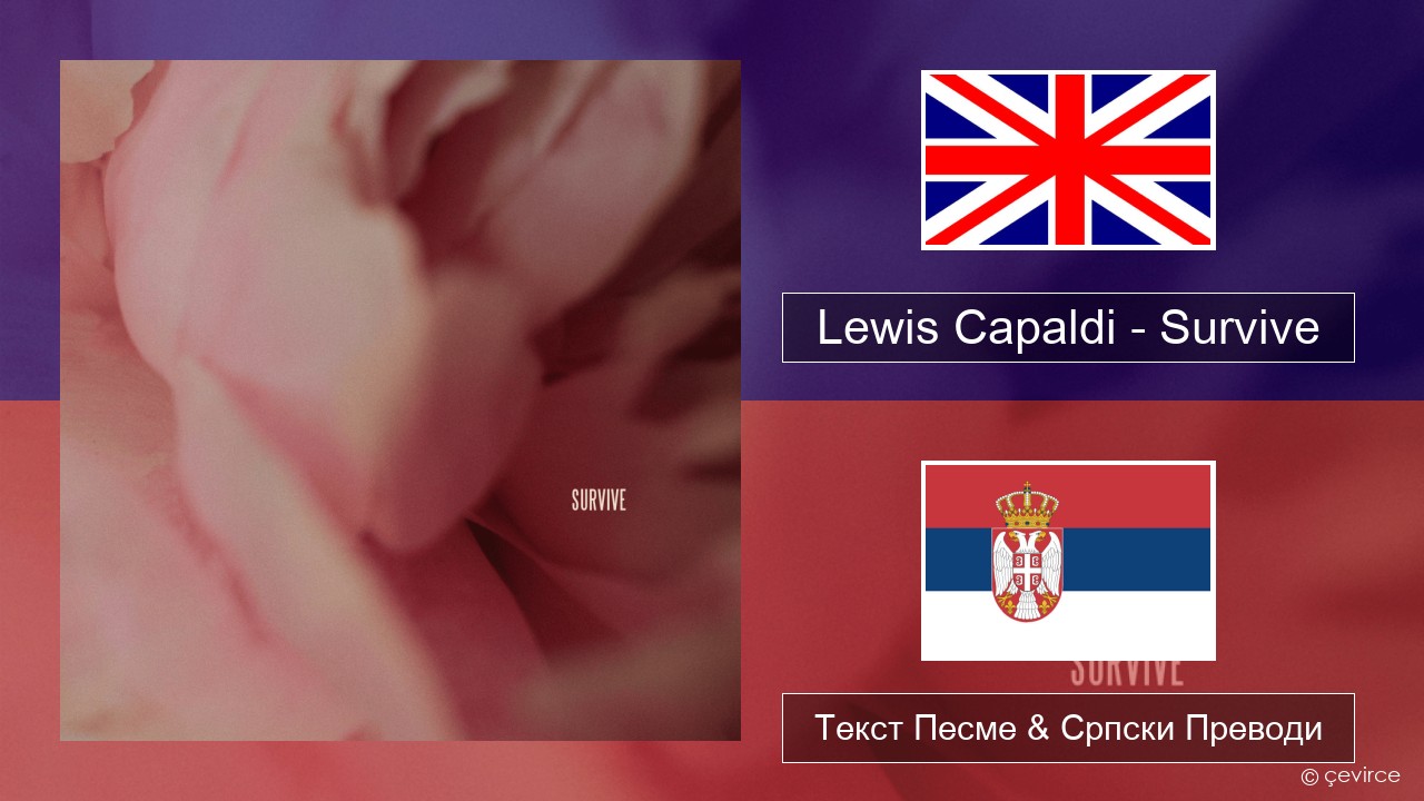 Lewis Capaldi – Survive Енглески Текст Песме & Српски Преводи